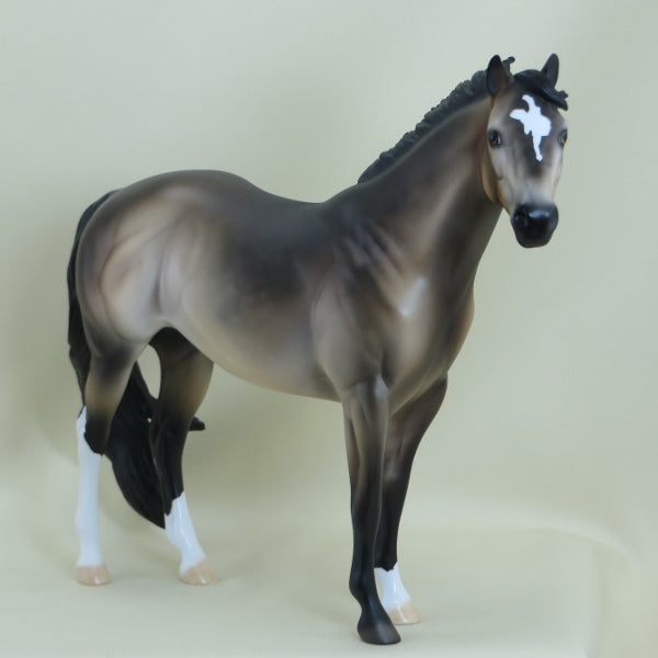 MOYNIHAN - OOAK Dapple Sooty Buckskin Stock Horse 3/15