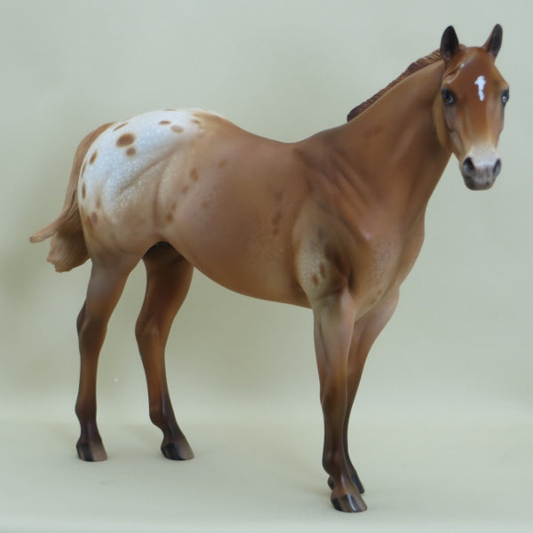 DUPE DUDE - OOAK Chestnut Appaloosa Stock Horse 3/15