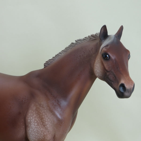 SKY DIVER - OOAK Chestnut Appaloosa with Mottling - 3/15