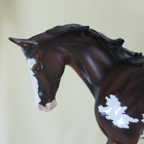 PICTIONARY - OOAK Bay Tucked Head Pinto Thoroughbred 4/15