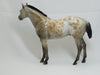 INTO THE WOODS - OOAK Buckskin Appaloosa Stock Horse 2/15