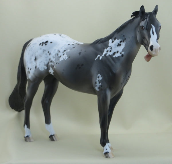MR. CRUMP DON&#39;T LIKE IT - OOAK Appaloosa Stock Horse - 3/15