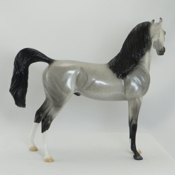 BIRMAN - OOAK Dapple Gray Arabian 5/15