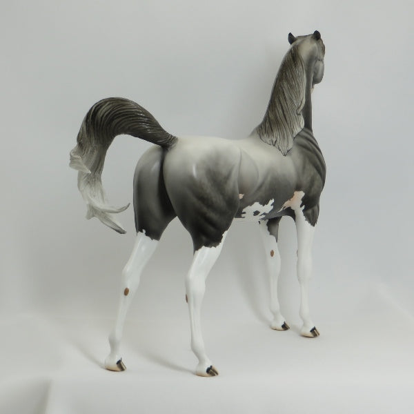KINGSBURY - OOAK Dapple Gray Pinto Pinned Ear Arabian 41/5