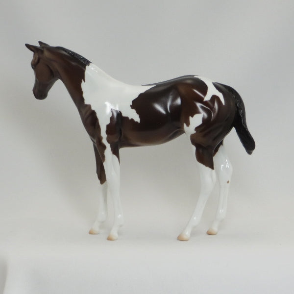 AN NAPOLEASE - OOAK Bay Paint Weanling Model Horse - 5/15