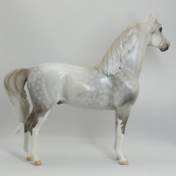 STARFIRE - OOAK Star Dapple Gray Morgan 5/15