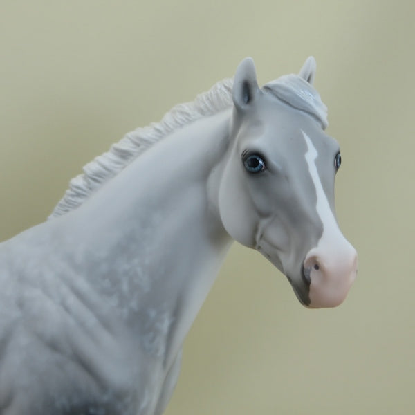 NOLAN - OOAK Star Dapple Gray Stock Horse 3/15