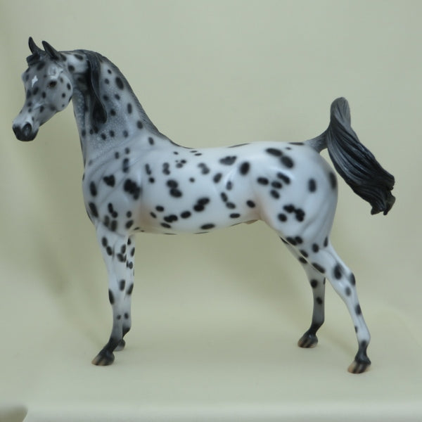 DULUTH - OOAK Leopard Appaloosa Arabian 4/15