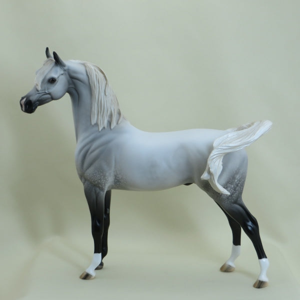 SALTWATER - OOAK Gray with Black Points Arabian 3/15