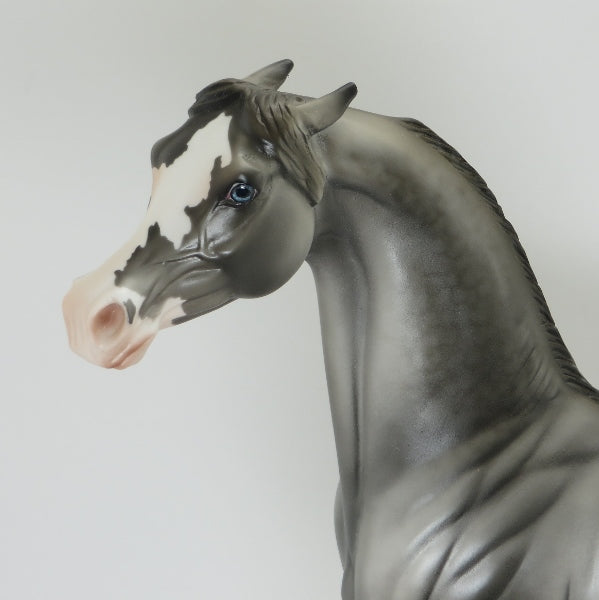 KINGSBURY - OOAK Dapple Gray Pinto Pinned Ear Arabian 41/5