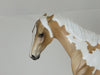 HARRISON - Sooty Palomino Paint Pony LE4 2/15