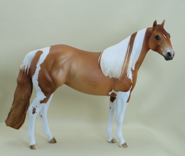 WIKLOW - Dapple Chestnut Paint Stock  Horse LE5 3/15