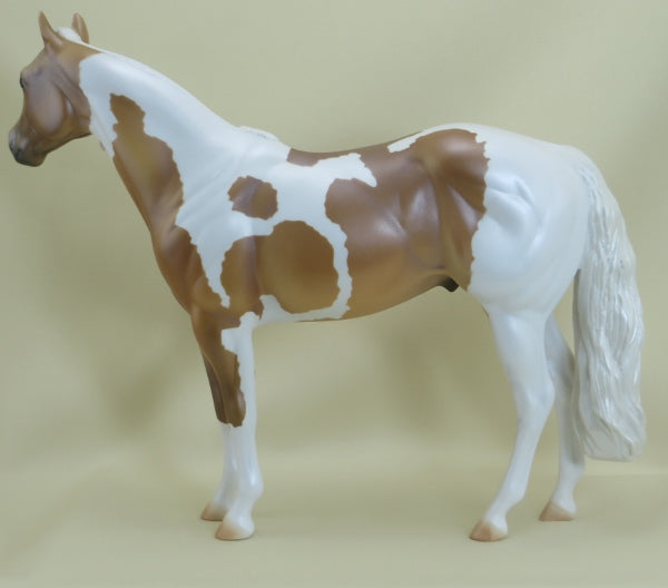O&#39;GRADY - OOAK Palomino Paint Stock Horse 3/15
