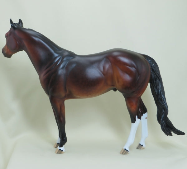 YAHTZEE - OOAK Dapple Bay Stock Horse 4/15