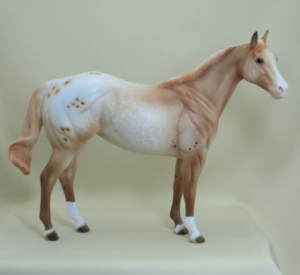 WHEATENA - OOAK Palomino Appaloosa Stock Horse Mare 4/15