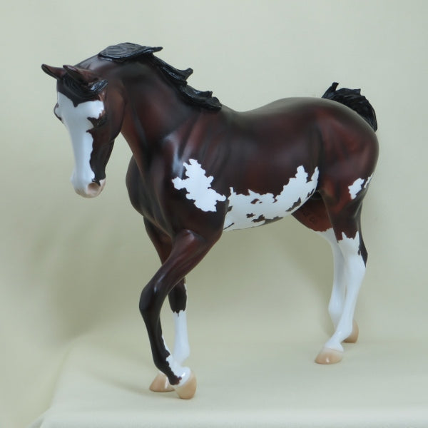 PICTIONARY - OOAK Bay Tucked Head Pinto Thoroughbred 4/15