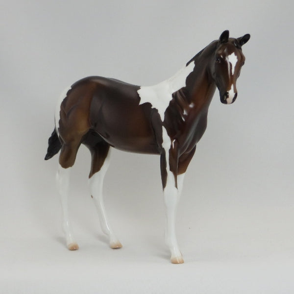 AN NAPOLEASE - OOAK Bay Paint Weanling Model Horse - 5/15
