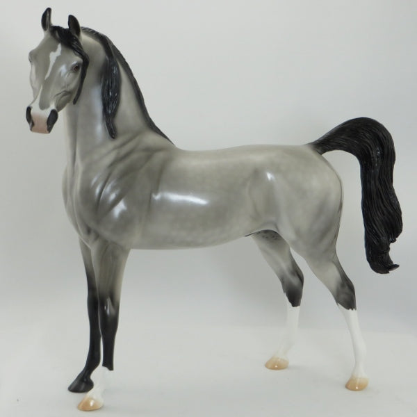 BIRMAN - OOAK Dapple Gray Arabian 5/15