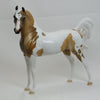 BUCHANAN - OOAK Dapple Palomino Pinto Arabian - 2/15