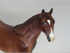 LOVE ROSIE - OOAK Chestnut Stock Horse 2/15