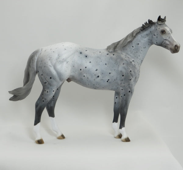 ONTARIO - OOAK Appaloosa Stock Horse 4/15