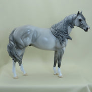 BONKERS - OOAK Dapple Gray Stock Horse - 4/15