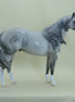 BONKERS - OOAK Dapple Gray Stock Horse - 4/15
