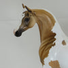 BUCHANAN - OOAK Dapple Palomino Pinto Arabian - 2/15