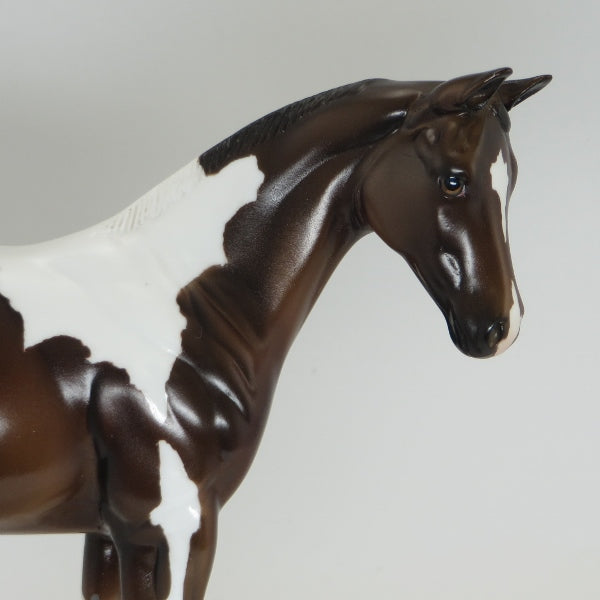 AN NAPOLEASE - OOAK Bay Paint Weanling Model Horse - 5/15