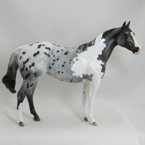 MAMA MIA - OOAK Rare Chimera Colored Appaloosa Stock Model Horse - 5/15