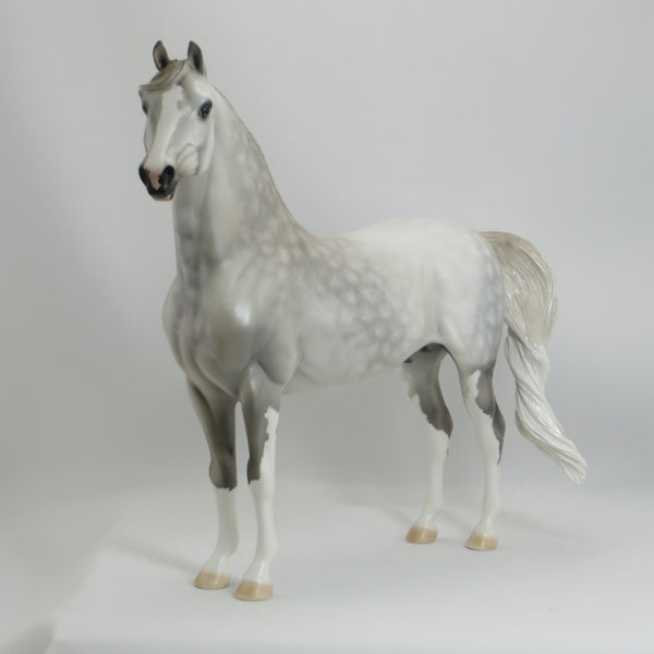 STARFIRE - OOAK Star Dapple Gray Morgan 5/15