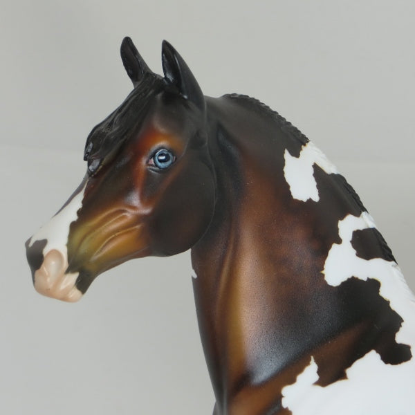 BOYHOOD - OOAK Seal Bay Tobiano Pinto Morgan 2/15