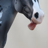 MR. CRUMP DON&#39;T LIKE IT - OOAK Appaloosa Stock Horse - 3/15