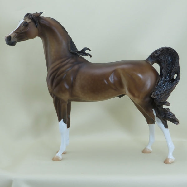 MACLOUGHLIN - OOAK Dapple Chestnut Pinned Ear Arabian 3/15
