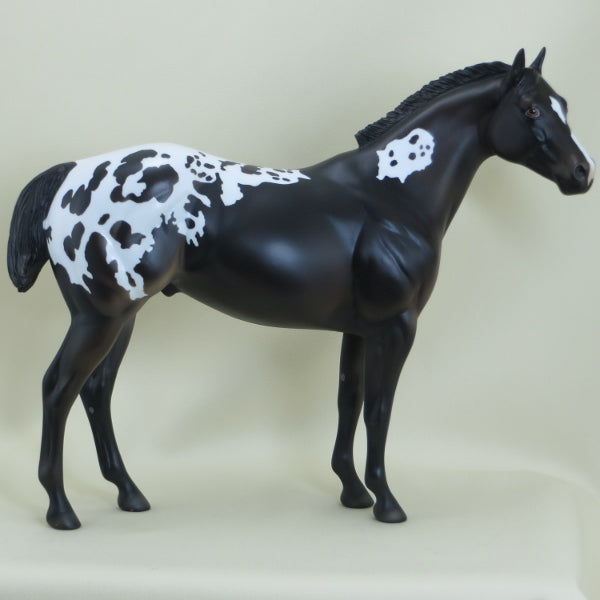 O'MURRY - OOAK Black Appaloosa Stock Horse - 3/15