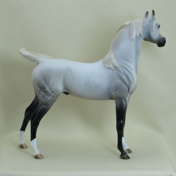 SALTWATER - OOAK Gray with Black Points Arabian 3/15