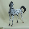 DULUTH - OOAK Leopard Appaloosa Arabian 4/15