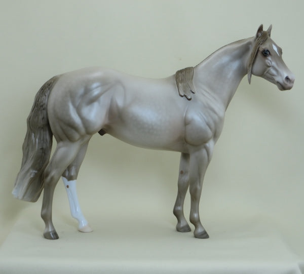 LUCKY STRIKE - OOAK Dapple Champagne Stock Horse 4/15