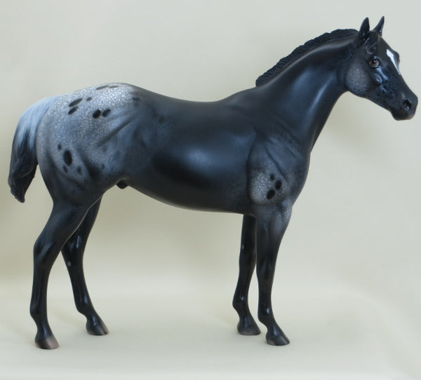 STORM OVER INDIANA - OOAK Black Appaloosa Stock Horse 3/15
