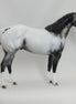 BOSTON POPS - OOAK Scraggly Mane Appaloosa Stock Horse 5/15
