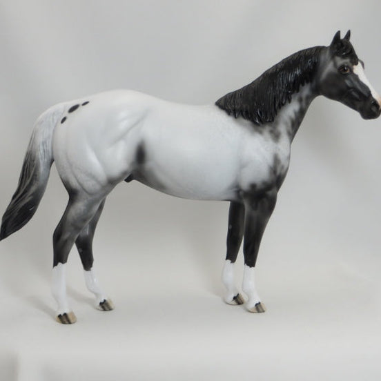 BOSTON POPS - OOAK Scraggly Mane Appaloosa Stock Horse 5/15