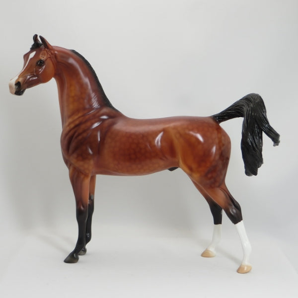 RATHORE - Extreme Dapples Bay Marwari Arabian Model Horse - LE4 - 5/15