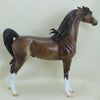 MACLOUGHLIN - OOAK Dapple Chestnut Pinned Ear Arabian 3/15