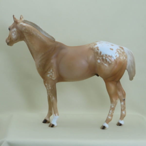 HATCH - OOAK Palomino Appaloosa Stock Horse 3/15