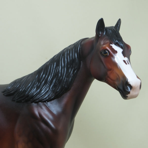 YAHTZEE - OOAK Dapple Bay Stock Horse 4/15