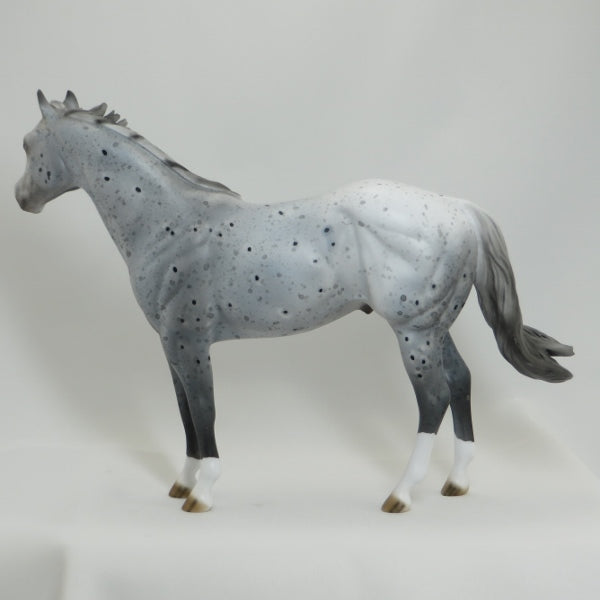 ONTARIO - OOAK Appaloosa Stock Horse 4/15