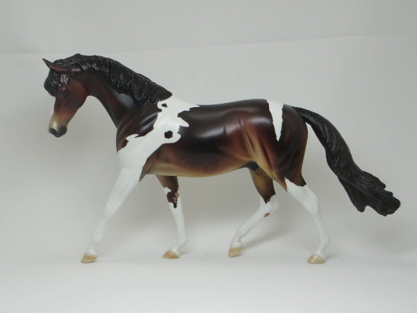 WOODROW WILSON - OOAK Seal Bay Paint Pony 2/15