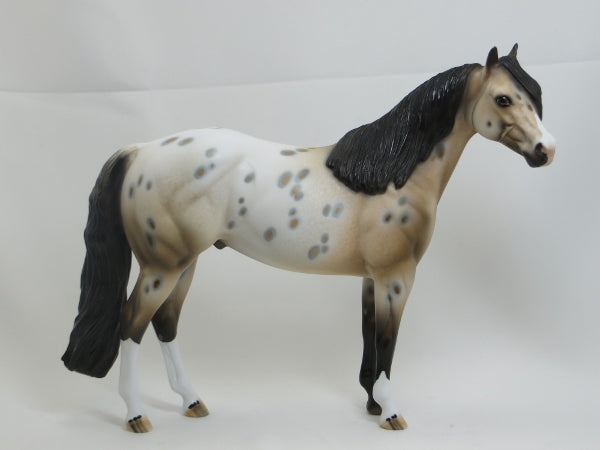 MONROE - OOAK Buckskin Appaloosa Stock Horse 2/15