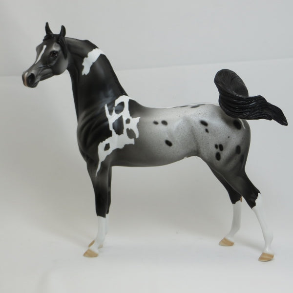 GARFIELD - OOAK Gray Appaloosa Pinto Arabian 2/15