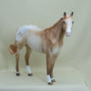 WHEATENA - OOAK Palomino Appaloosa Stock Horse Mare 4/15